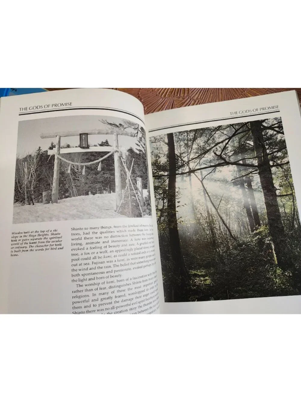 In the Shadow of Fujisan: Japan and Its Wildlife by Jo Stewart-Smith 1987